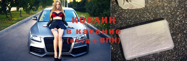 гидра Болохово