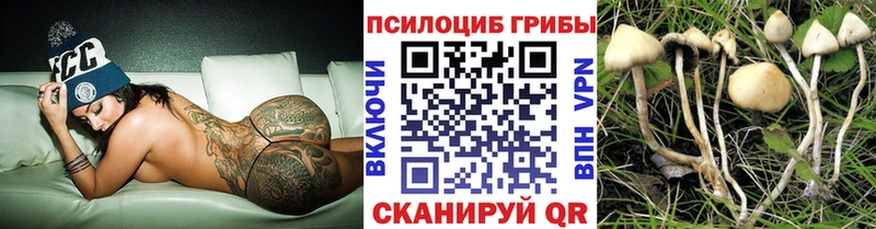 Галлюциногенные грибы Magic Shrooms  где найти наркотики  Апатиты 