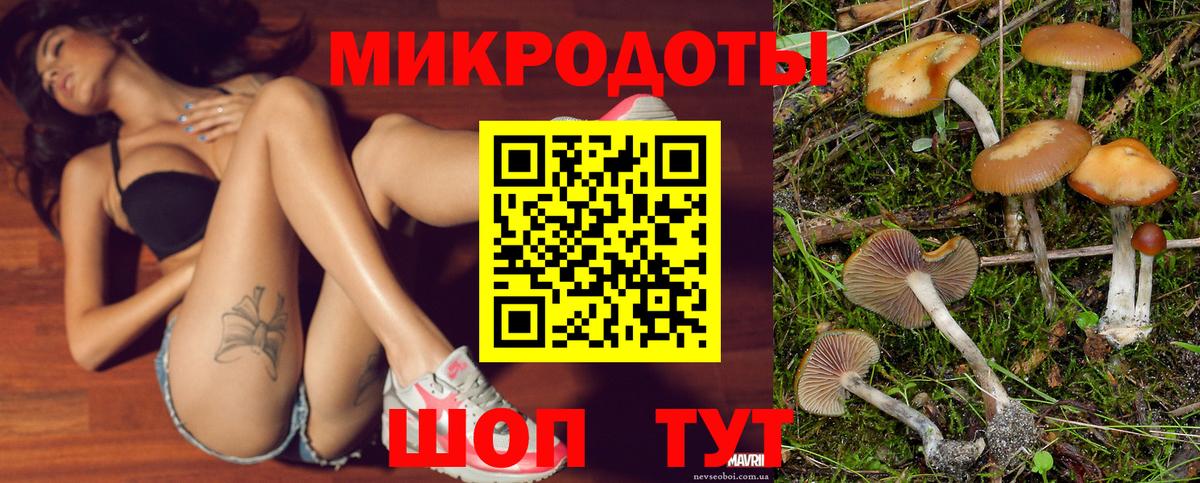 Галлюциногенные грибы ЛСД Апатиты