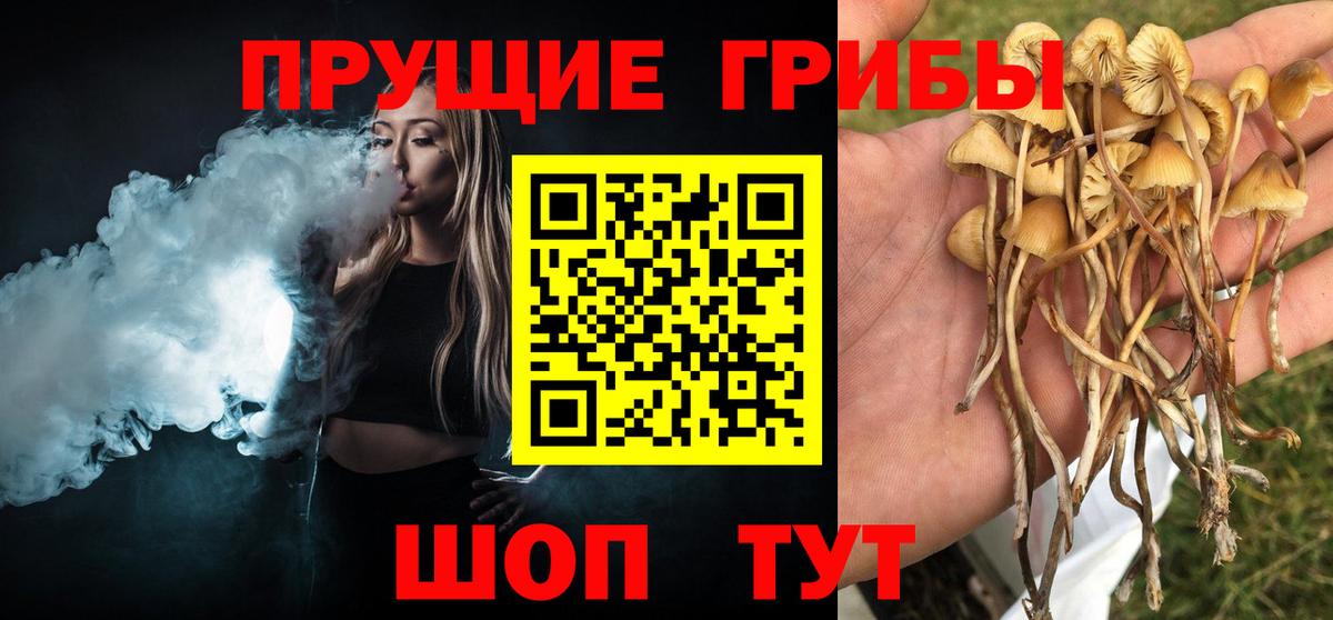 Галлюциногенные грибы Magic Shrooms  Галлюциногенные грибы Magic Shrooms  дарнет шоп  Вход с VPN  Апатиты 